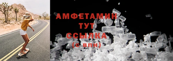 шишки Кодинск