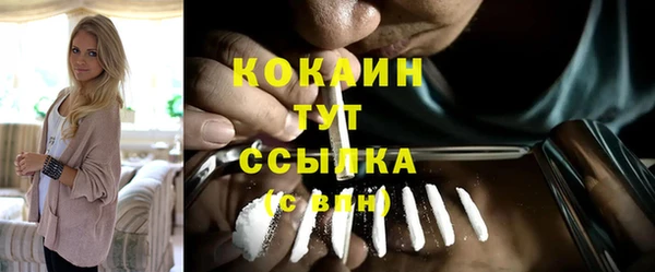 шишки Кодинск
