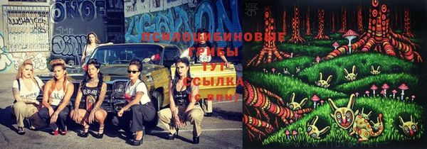 шишки Кодинск