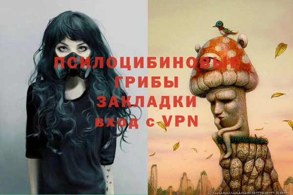 шишки Кодинск