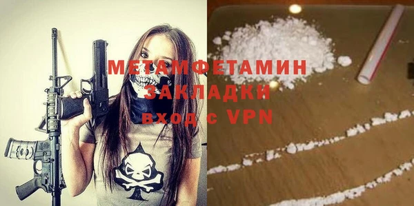 шишки Кодинск