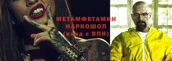 шишки Кодинск