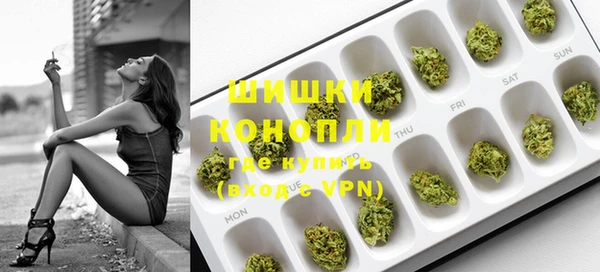 шишки Кодинск