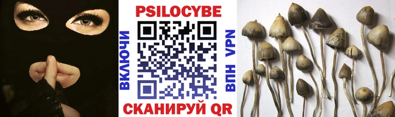 где можно купить наркотик  omg   Галлюциногенные грибы Psilocybe  Сосенский 